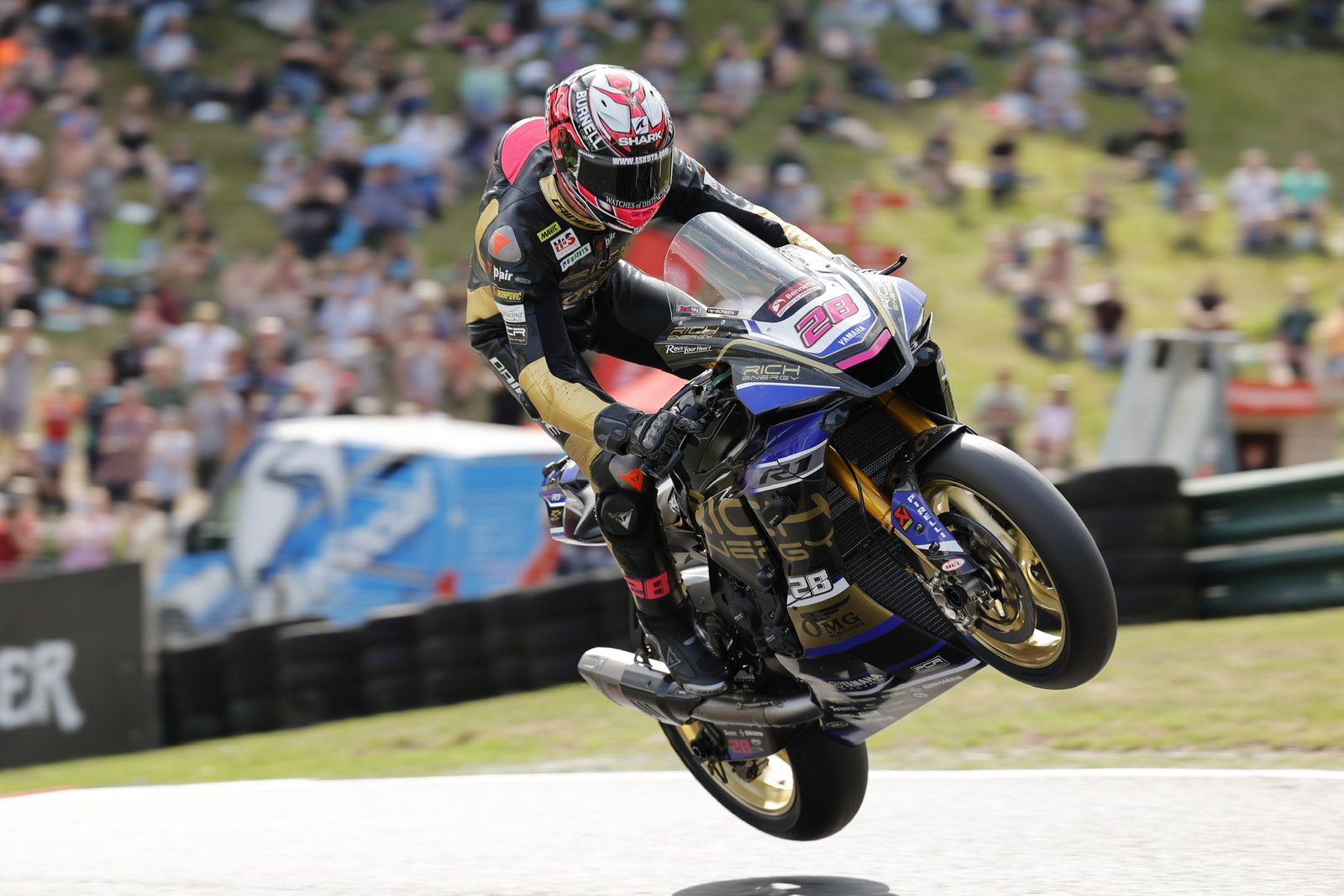 Jason O’Halloran, Bradley Ray qualify for BSB showdown but who else is likely to make the cut?